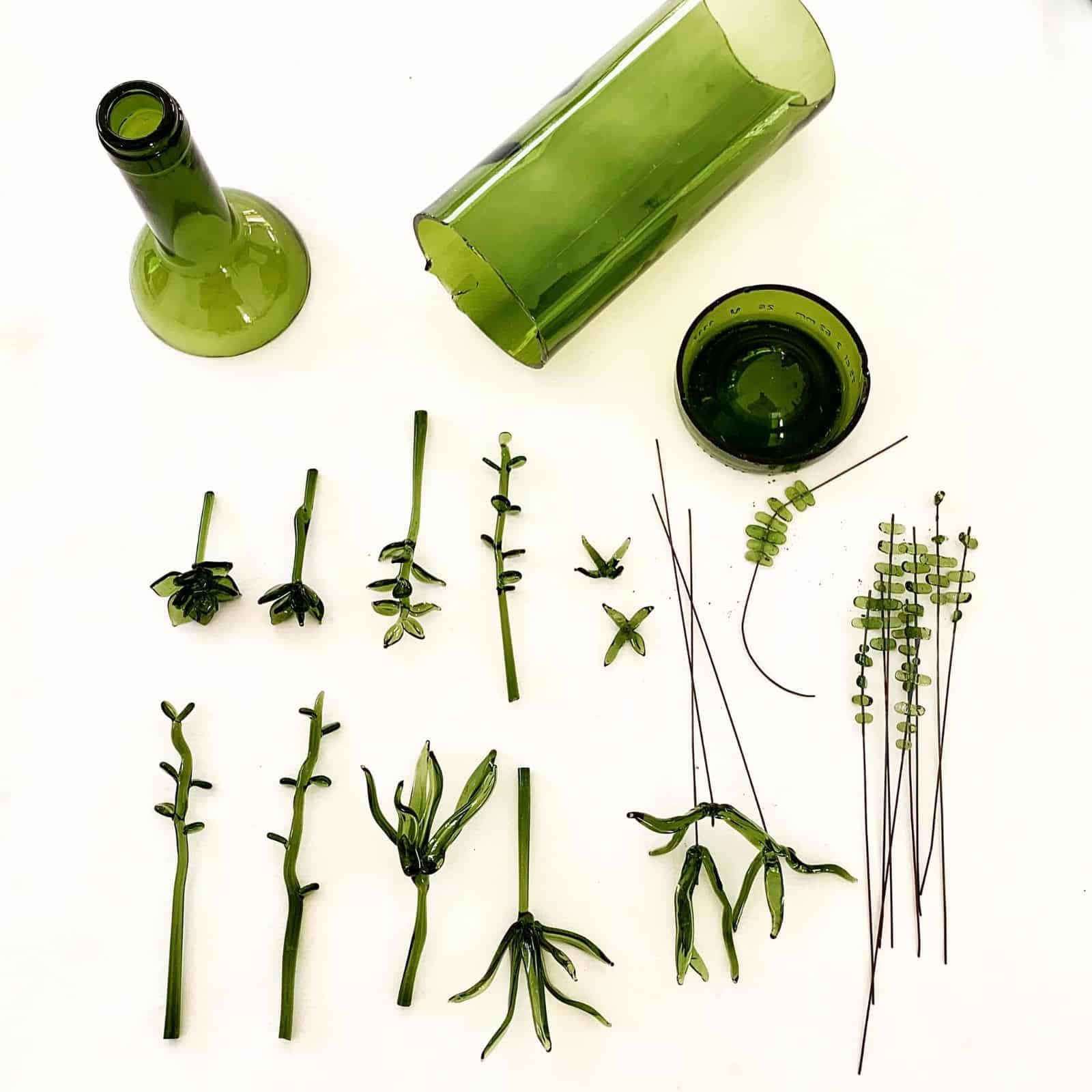 les plantes de vidre de nutopia land