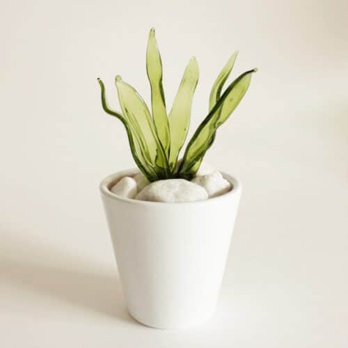 Haz tu planta con vidrio reciclado